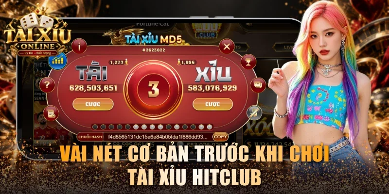 Vài nét cơ bản trước khi chơi Tài xỉu Hitclub